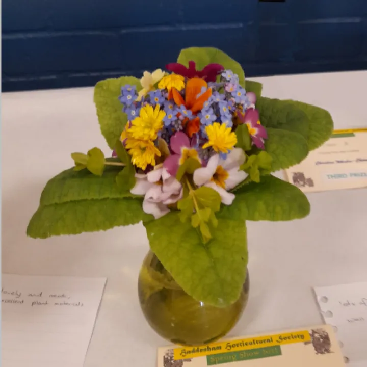 Floral 5