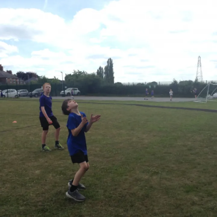 IMG 3960