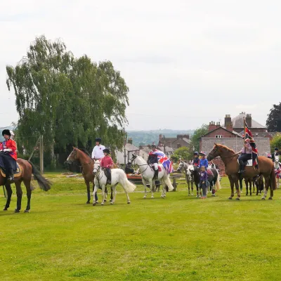 Horses 5