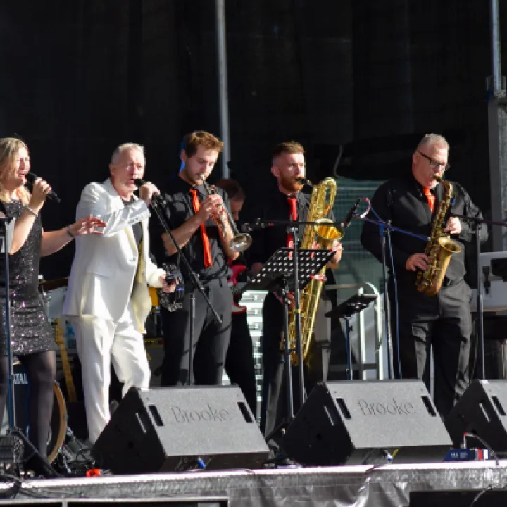 The Godfathers Of Soul Perform On Stage  2