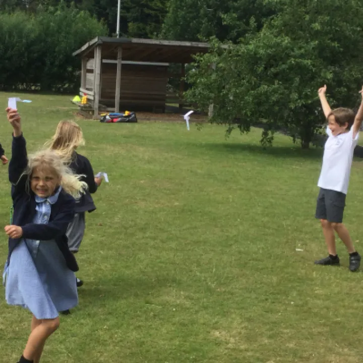 Seed Dispersal 2