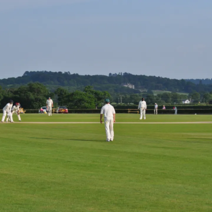 Cricket Home