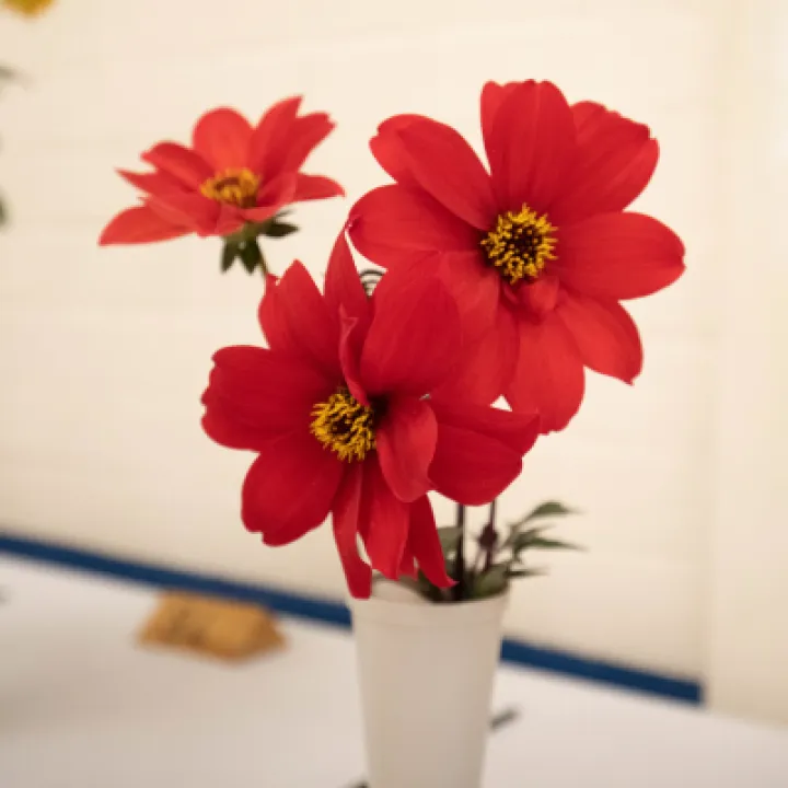 Image: 302A6505