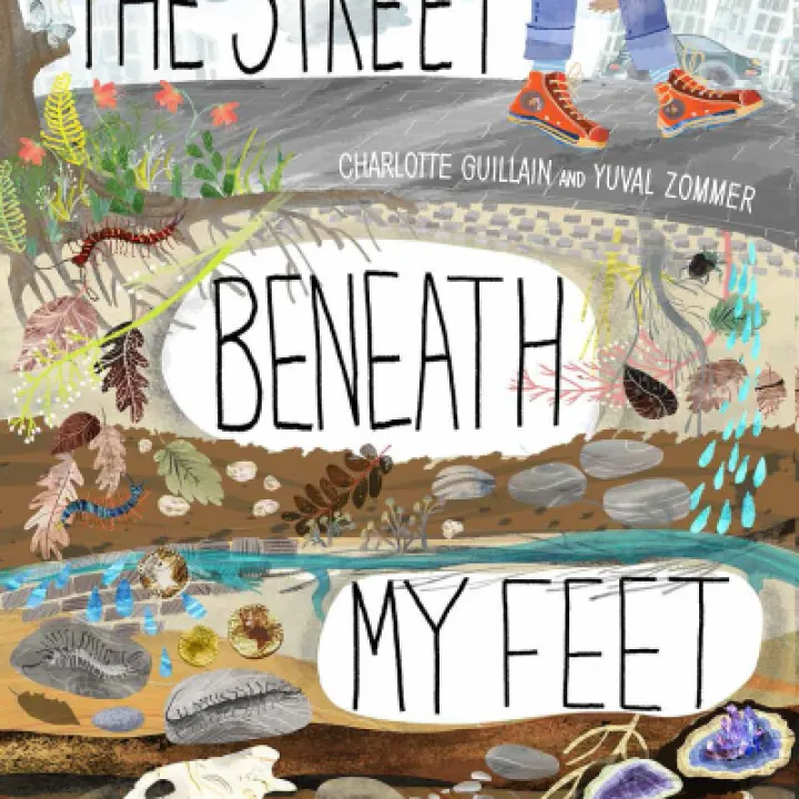 book 5