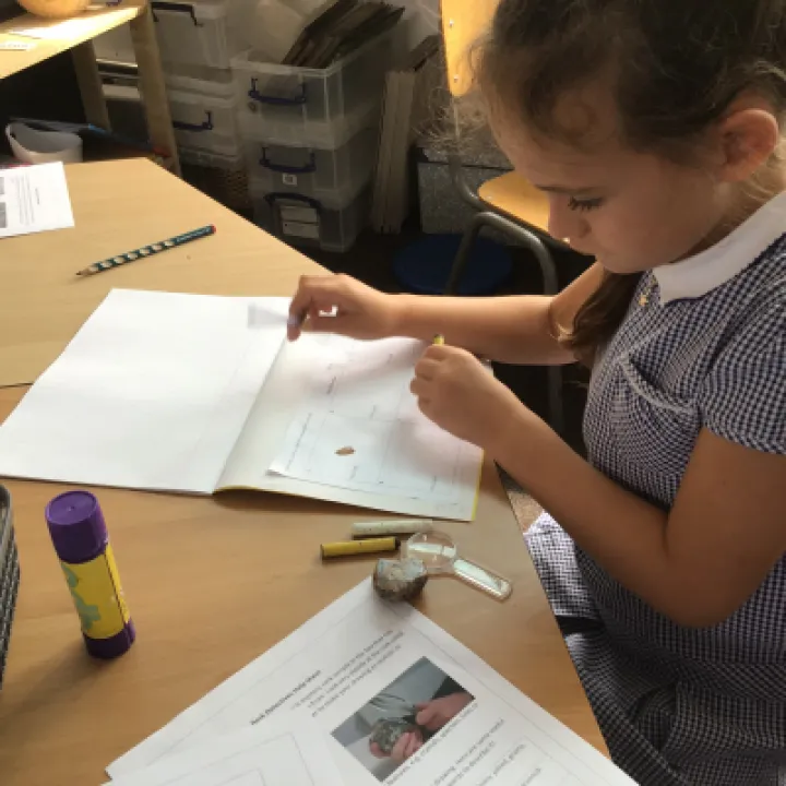 Rock Drawing