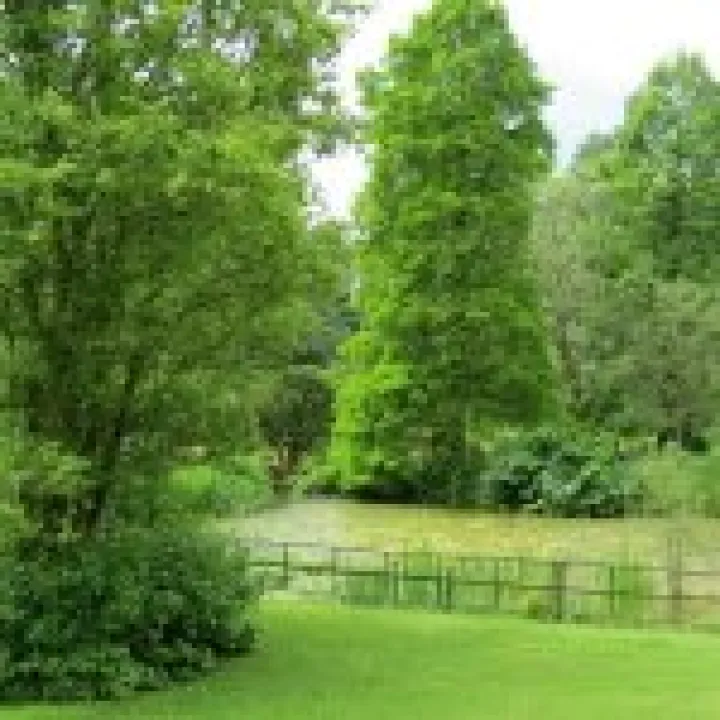 Ness Gardens jpg32