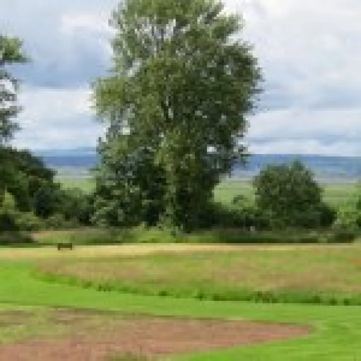 Ness Gardens jpg25
