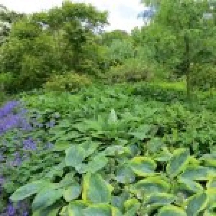 Ness Gardens jpg11