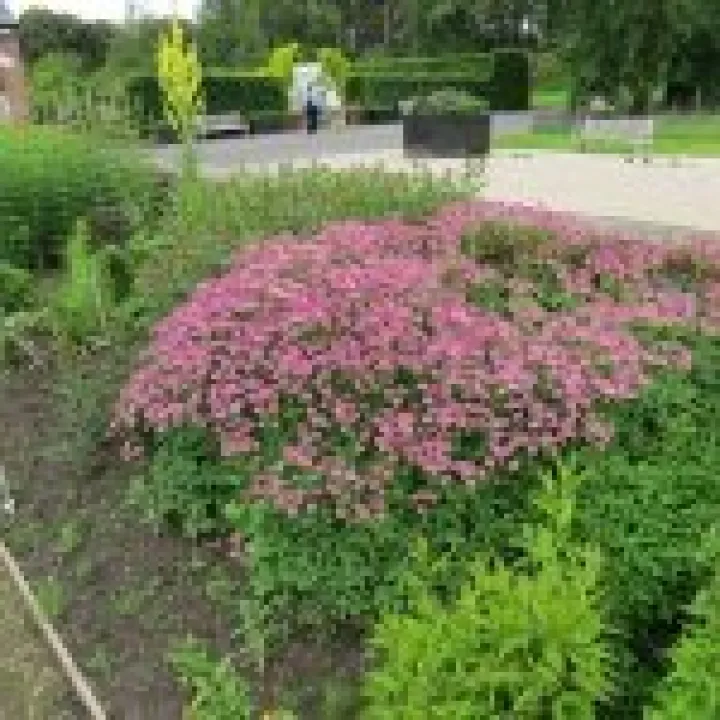 Ness Gardens jpg17