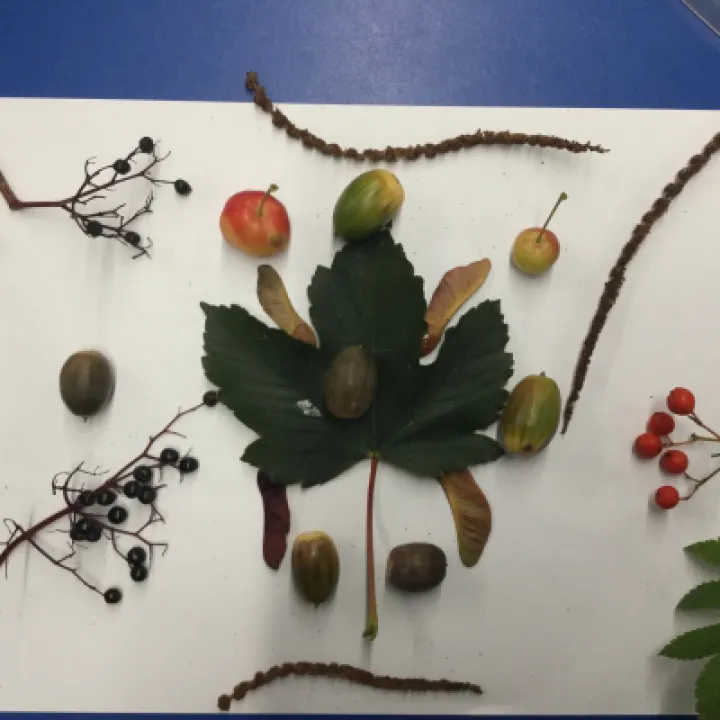 Autumn Art
