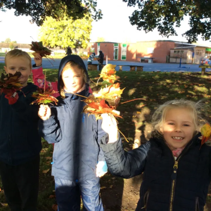 Forest school 2