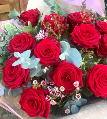 12 Red Roses