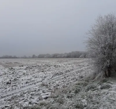 Winter View Field Potters Lane