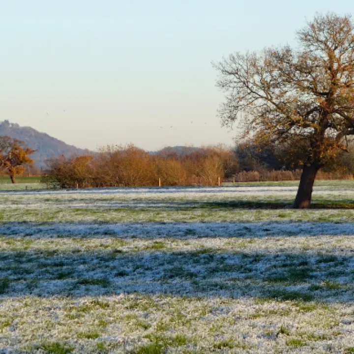 #R_Beeston Castle_01743