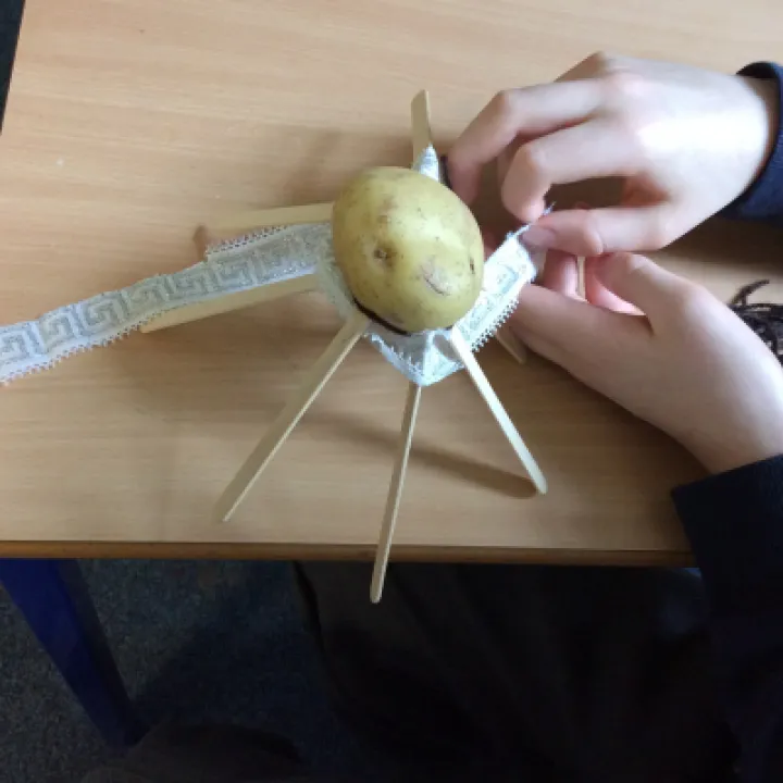 World book day (5)