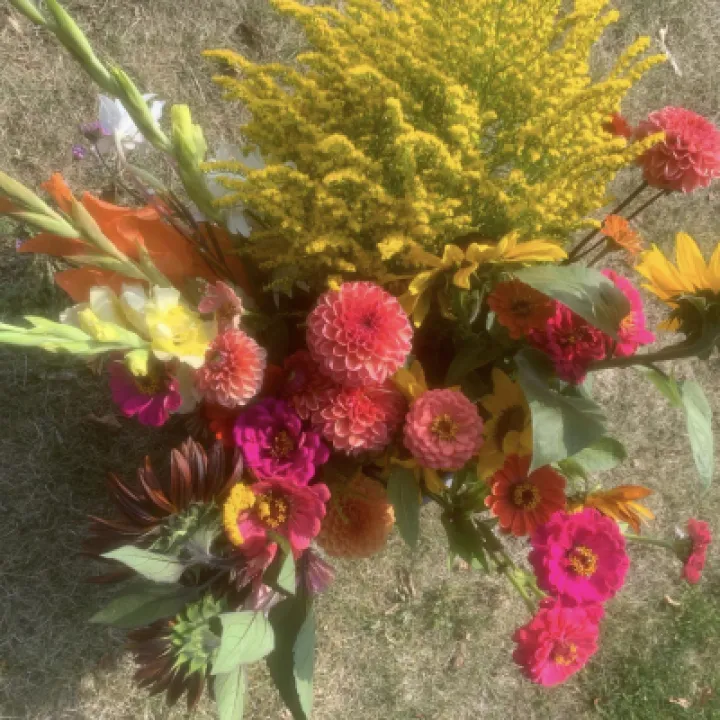 flower farm 5
