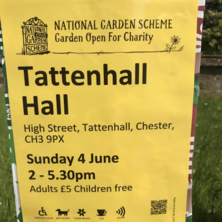 TnHall 7