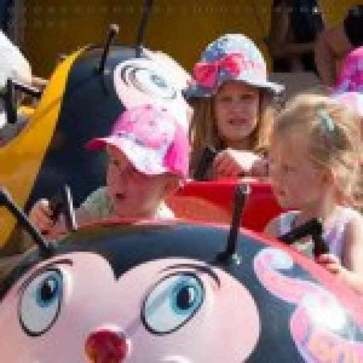 Dinton Fete 02