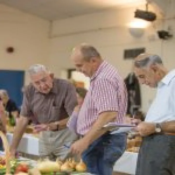 Annual Show 03