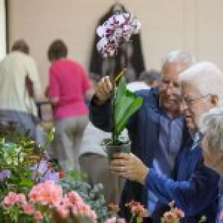 Annual Show 08