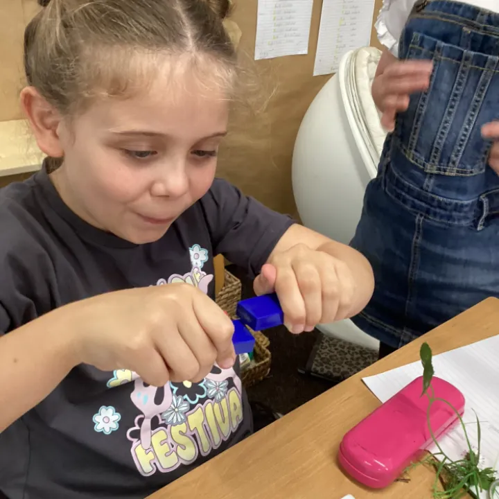 Y3 Science Forces2