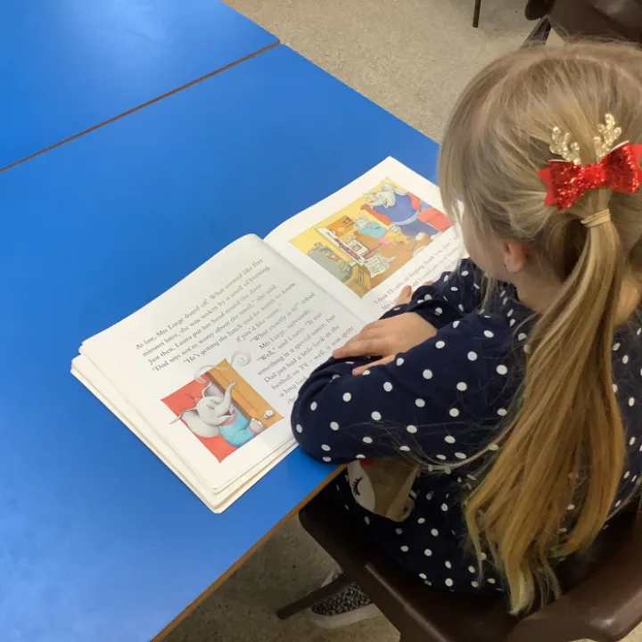 Reading