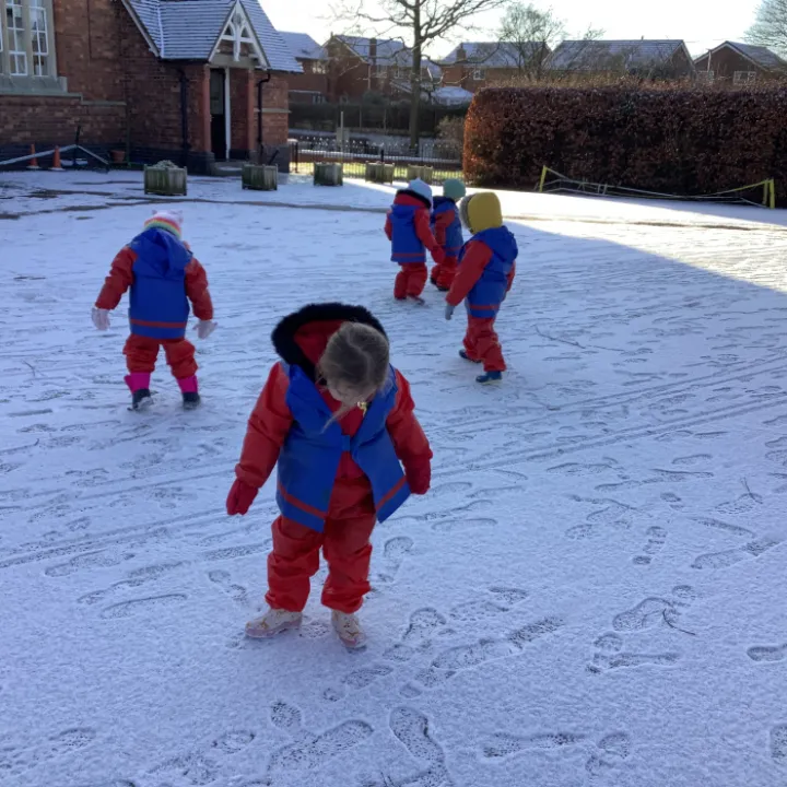 Snow 244