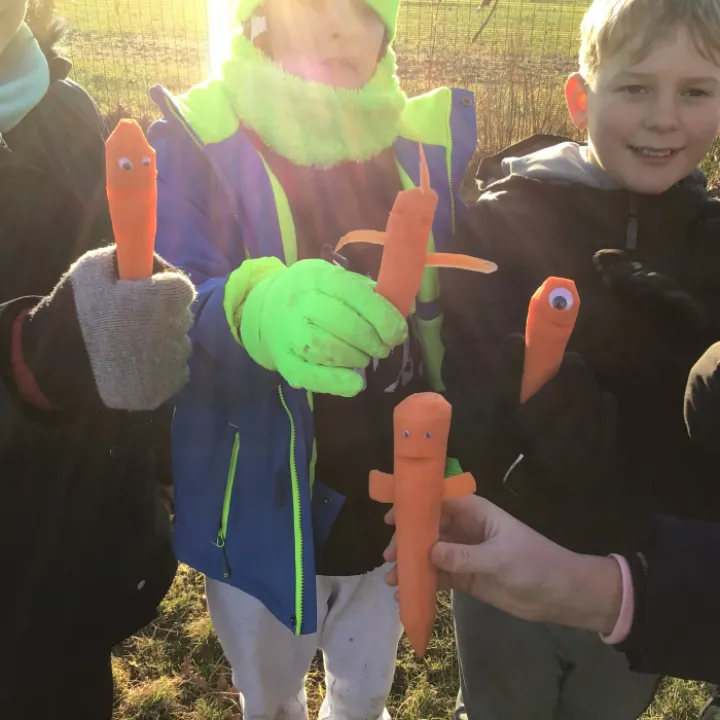 Forest schools