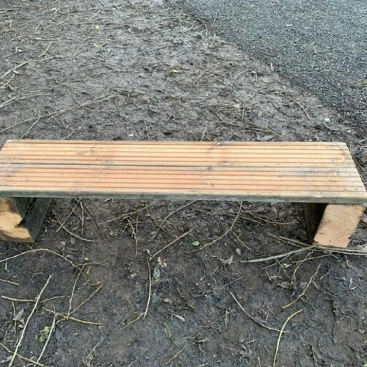 FS3