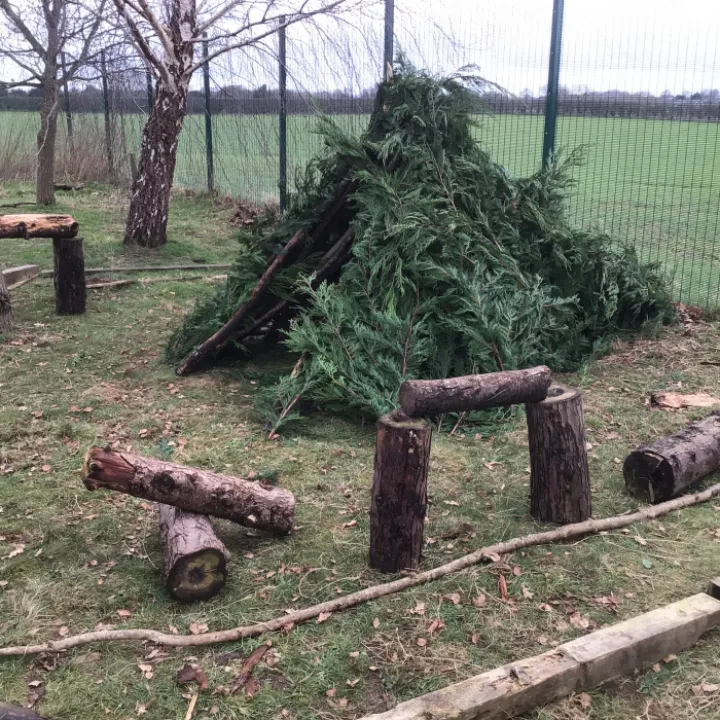 Forest schools