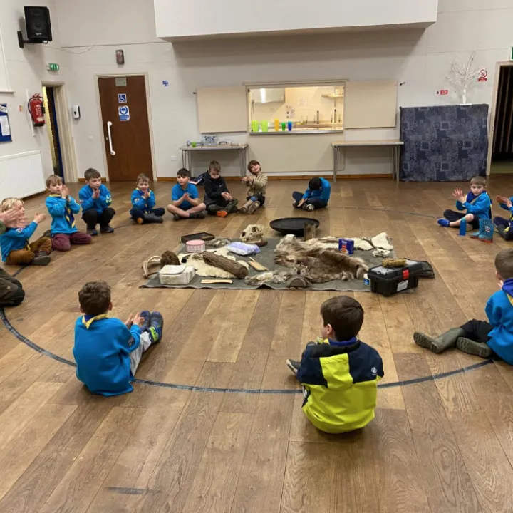 Beavers