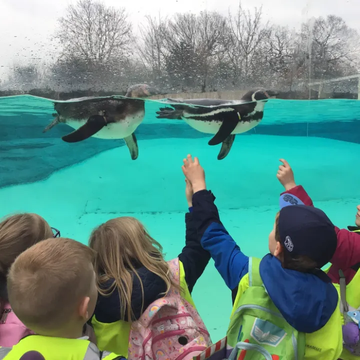 Zoo