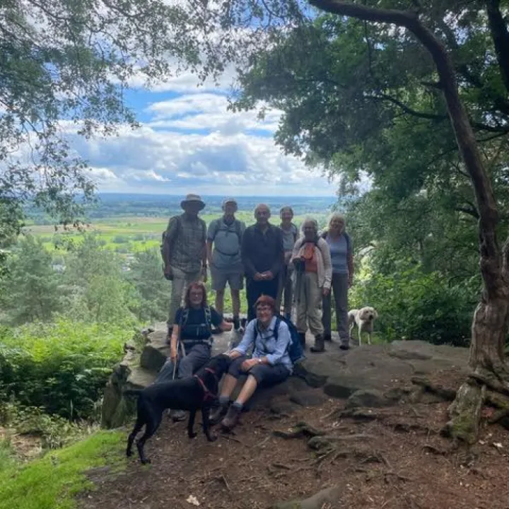 ars walk