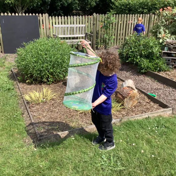 Bug hunting