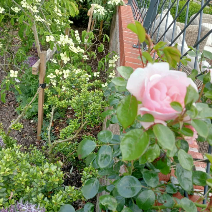 Img20240612182541