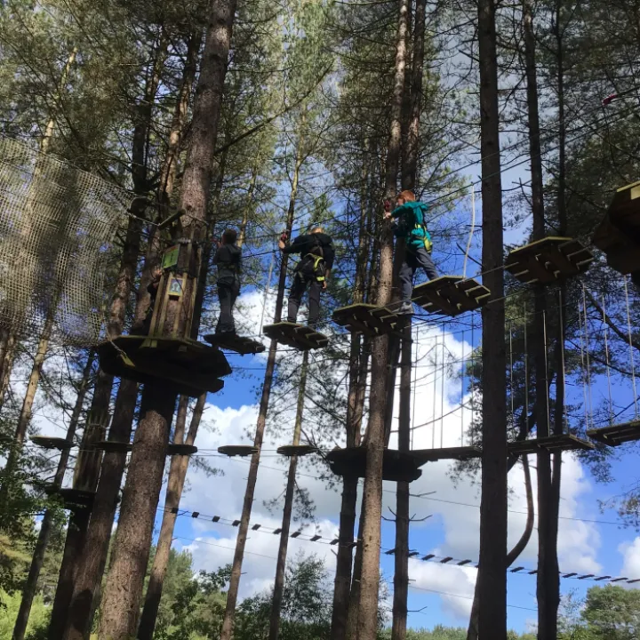 Go Ape