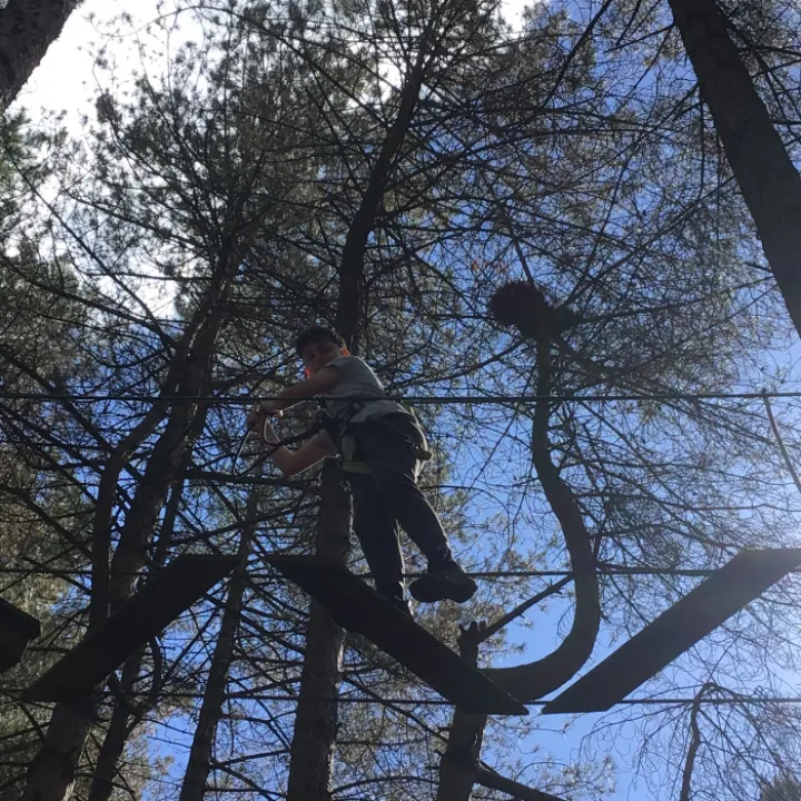 Go Ape