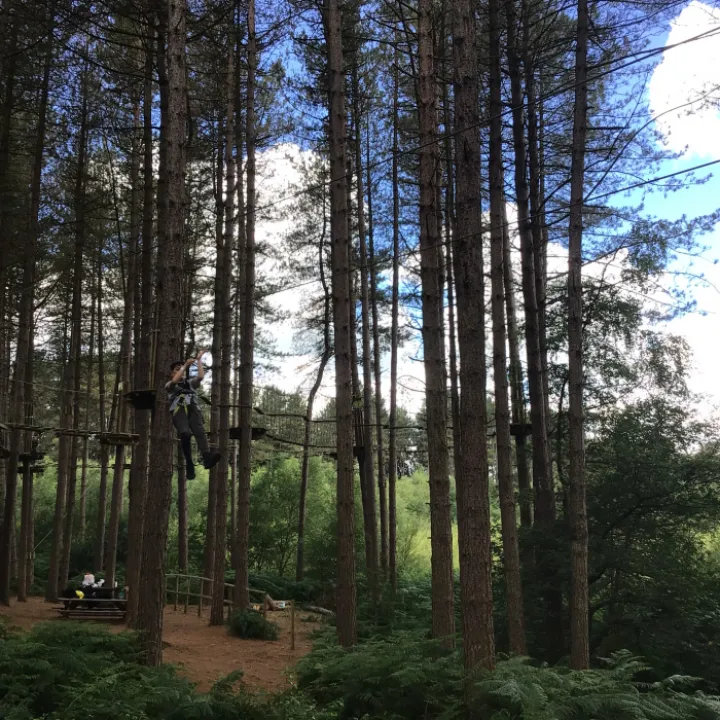 Go Ape