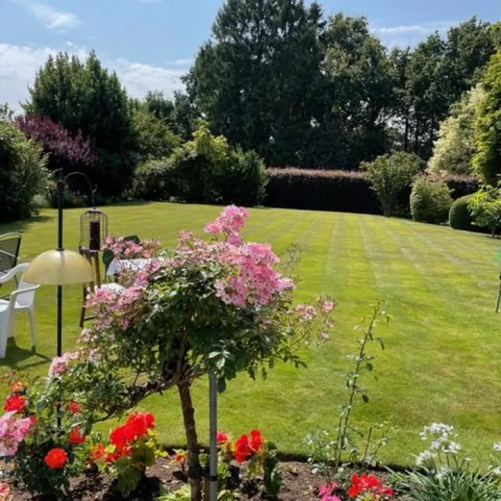 Wi Garden Party