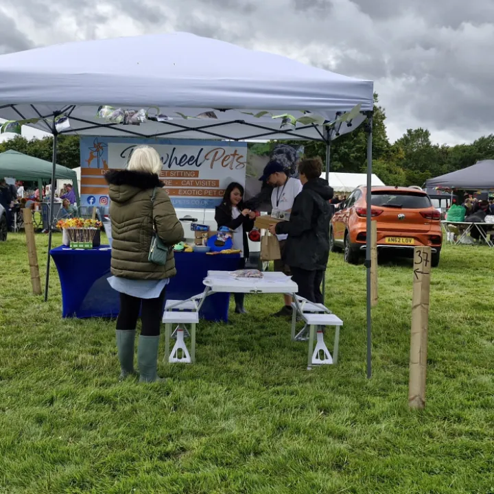 Stall 7