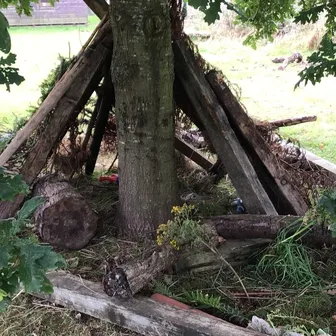 Forest School 1