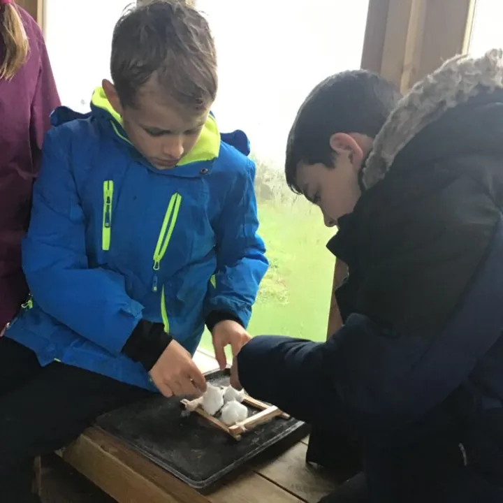 Forest school 3