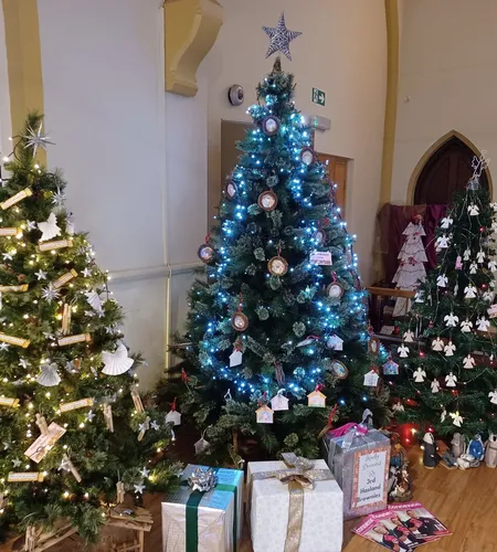 Christmas trees at Hasland