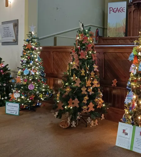 Hasland Christmas trees2