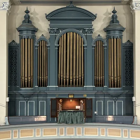 MOR Organ