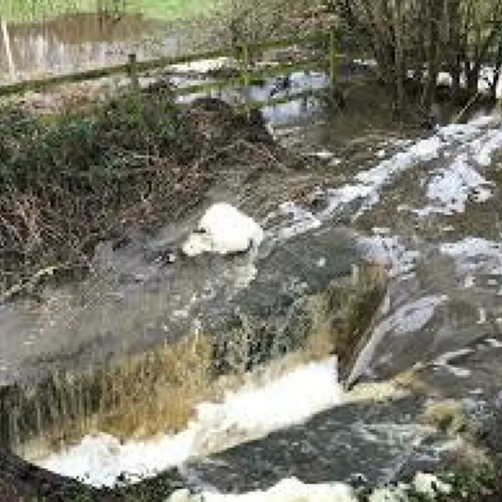 Flooding 2