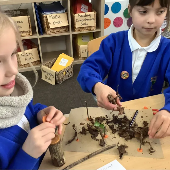 Y3 biomes