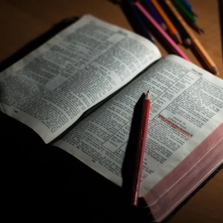 Pink Pencil On Open Bible Page