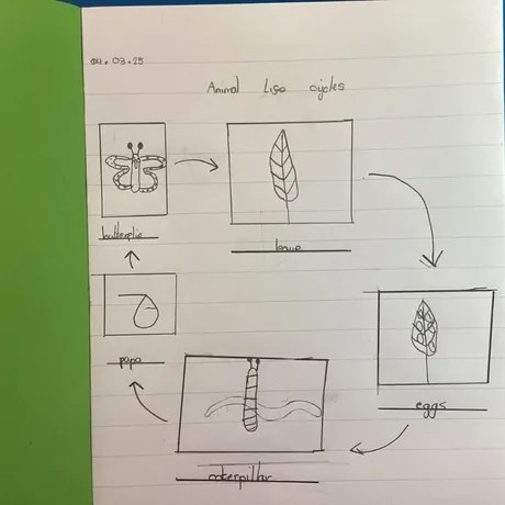 Science