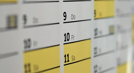 Calendar, dates, schedule, days, wall calendar, year, meeting, office, planning, calendar, calendar, calendar, calendar, calendar, schedule, schedule